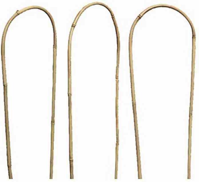 Actual product image Siena Garden Climbing aid, growth aid, bamboo, 60x20x2,5cm, 436427 (60 cm, 20 cm)