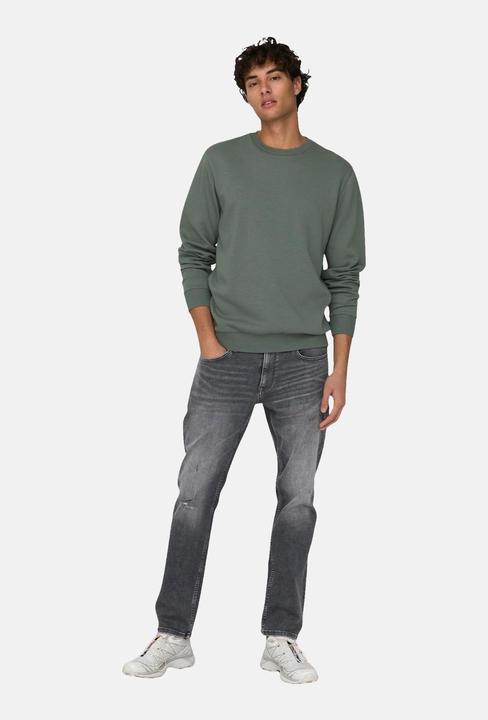 Image du produit Only & Sons Ceres Life (M)