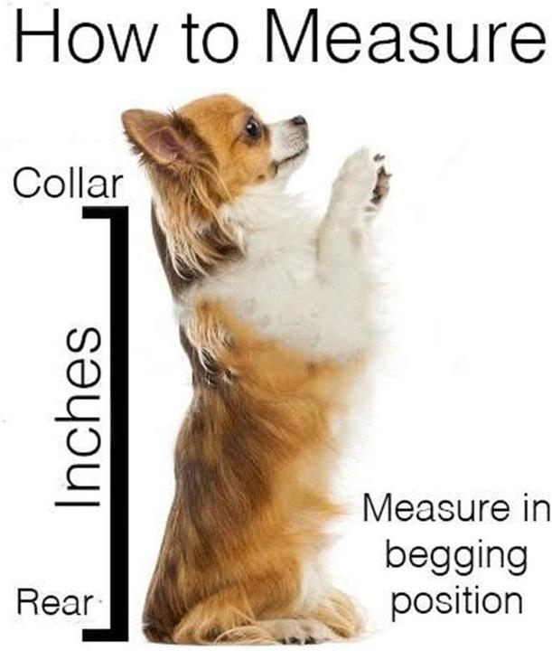 Produktbild Flkennel Hunderucksack (Hund, Atmungsaktiv, Reflektoren)