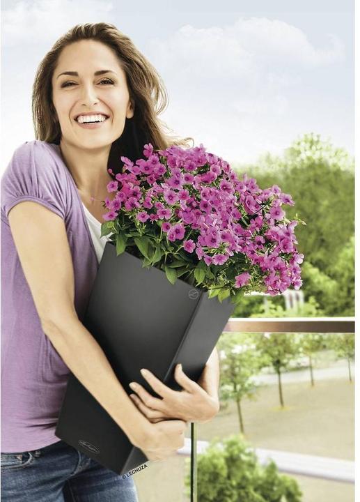 Produktbild Lechuza Cubico Color (29.50 cm)