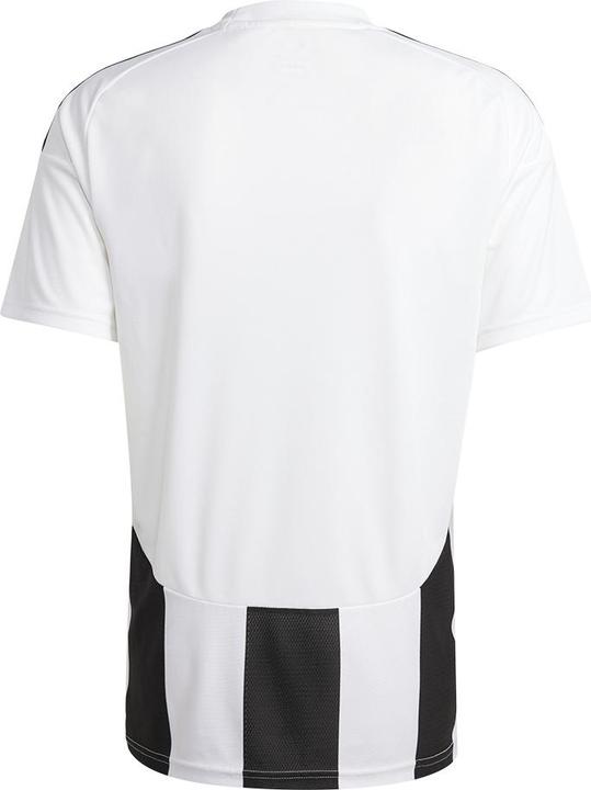Actual product image adidas Striped 24 Jersey (XL)