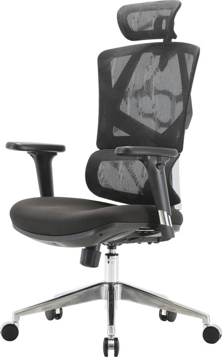 Image du produit Sihoo Chaise de bureau avec soutien lombaire