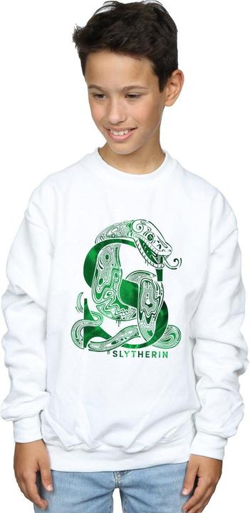 Actual product image Boys Slytherin Snake Sweatshirt (128)