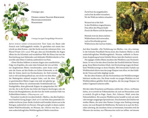 Image du produit Frau Haselin und Drecksäck (Allemand, Rosemarie Gebauer, 2016)