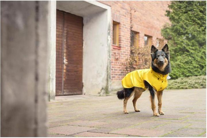 Produktbild Rukka Stream (75, Hundemantel)