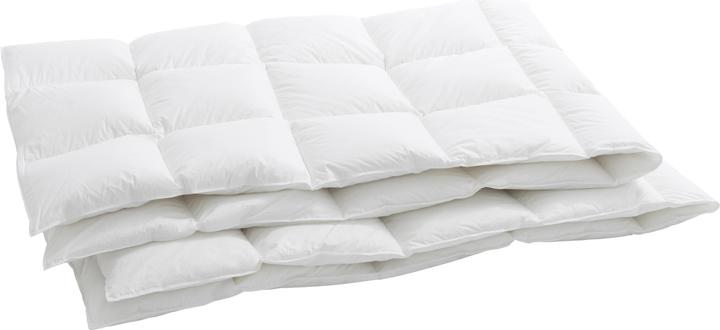 Immagine prodotto Billerbeck Berna 100 (510 g, 160 x 240 cm)