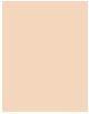 Actual product image L'Oréal Paris Infaillible (10 Bright Nude)