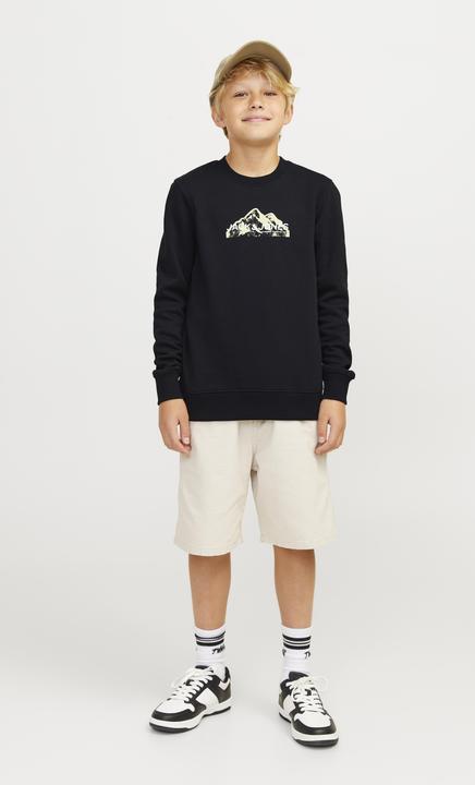 Immagine prodotto Jack & Jones Jcomountain Logo Sweat Crew Neck Sn Mni (104)
