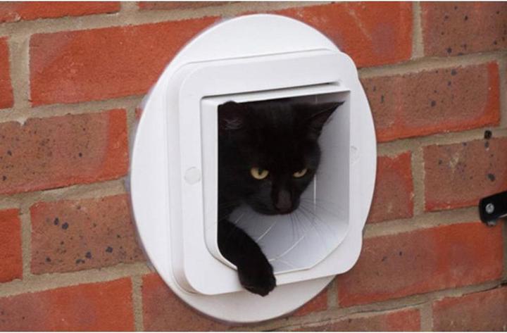 Actual product image SureFlap Microchip cat door (Microchip Cat Flap)