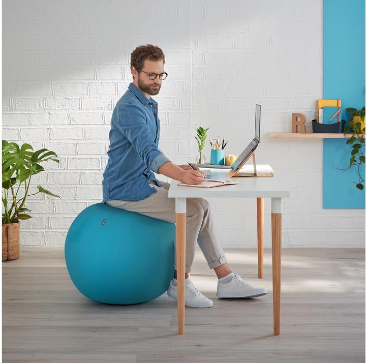 Produktbild Leitz Ergo Cosy Active Sitzball (65 cm)