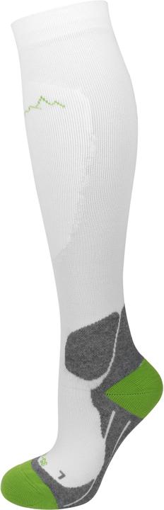Actual product image Normani Sports compression knee socks (Single pack, 43 - 46)