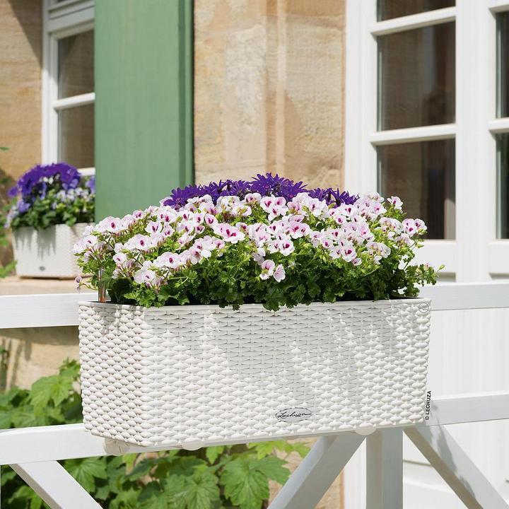 Image du produit Lechuza Chalet Balconera (19 cm)