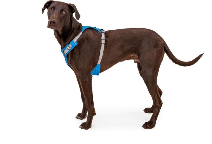 Produktbild Ruffwear Hi & Light Harness (XS, Hund, Allgemein)