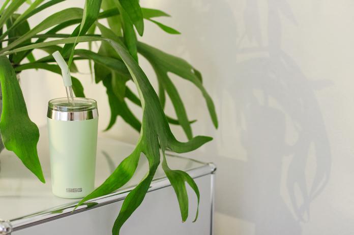 Image du produit Sigg Helia (0.60 l)