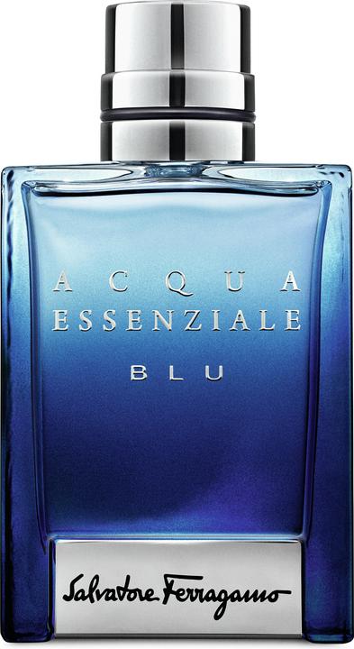 Salvatore Ferragamo Eau de Toilette (Eau de toilette, 50 ml)