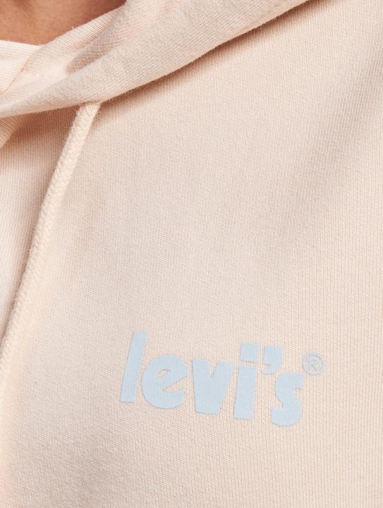Actual product image Levis Graphic Standard Hoodie - 91027 (XS)