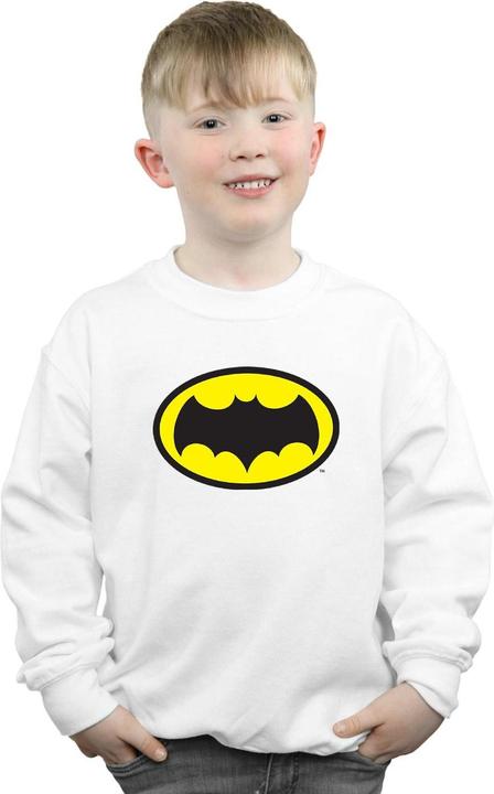 Actual product image Boys Batman TV Series Logo Sweatshirt (140, 146)