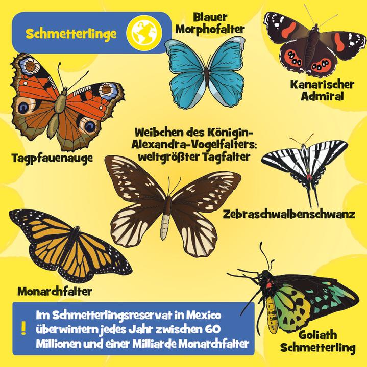 Produktbild Brainbox Brain Box- Wilde Tiere (Deutsch)