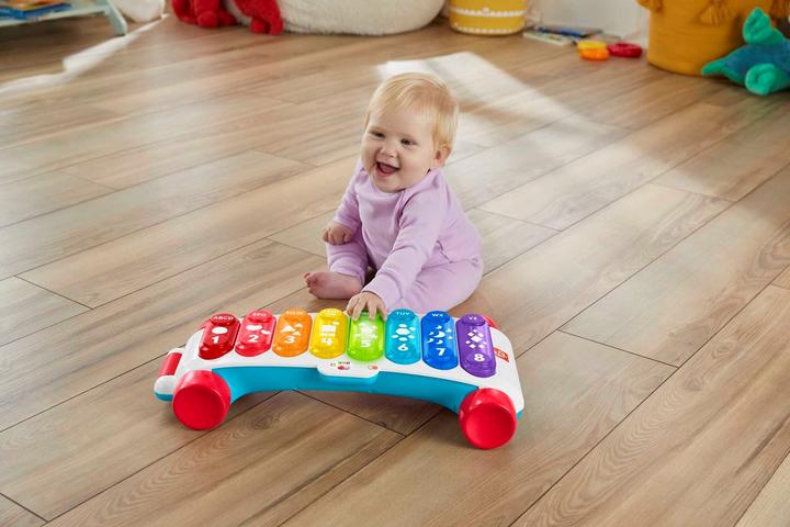 Image du produit Fisher-Price Laugh & Learn Giant Classic Xylophone (Anglais)