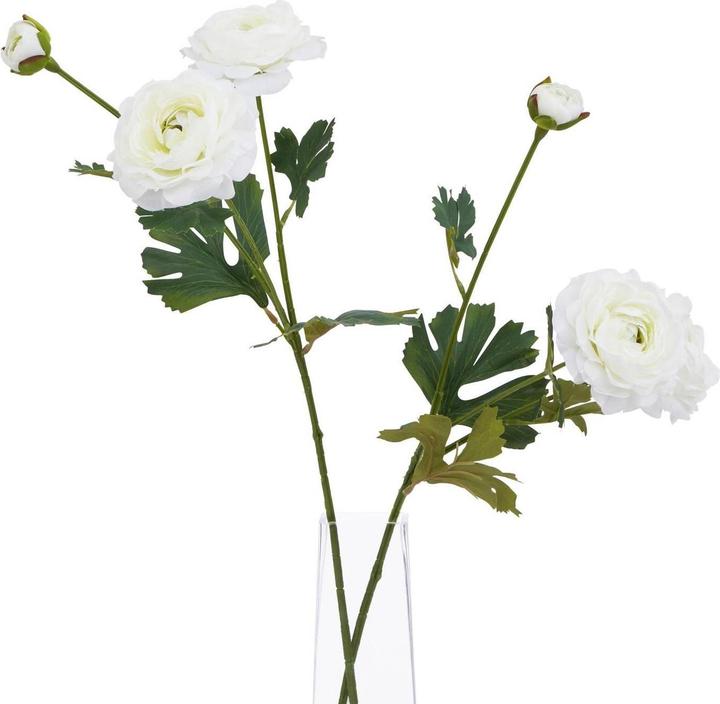 Immagine prodotto Hill Interiors The Natural Garden Collection Ranunculus Fiore Artificiale (64 cm)