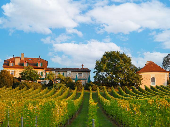 Produktbild Smartbox Traumhafte Auszeit im Domaine de Châteauvieux im Kanton Genf für 2 Personen (2 Pers.)