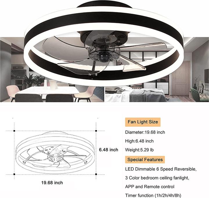 Actual product image Eidisuny Ceiling fan with lighting (28 dB)