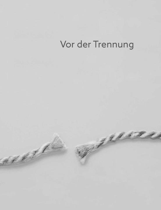 Productafbeelding Ich will mich trennen (Duits, Torsten, Geiling, 2024)