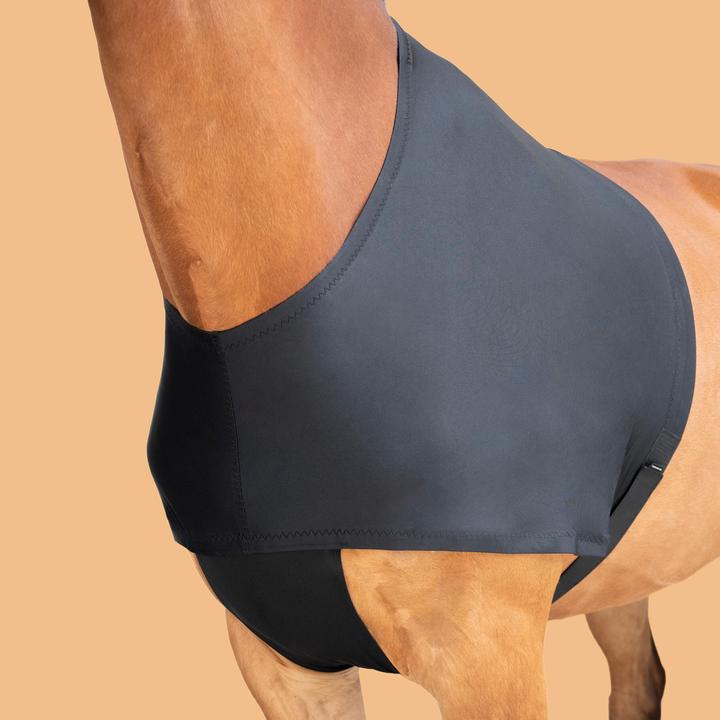 Actual product image Fouganza Protect