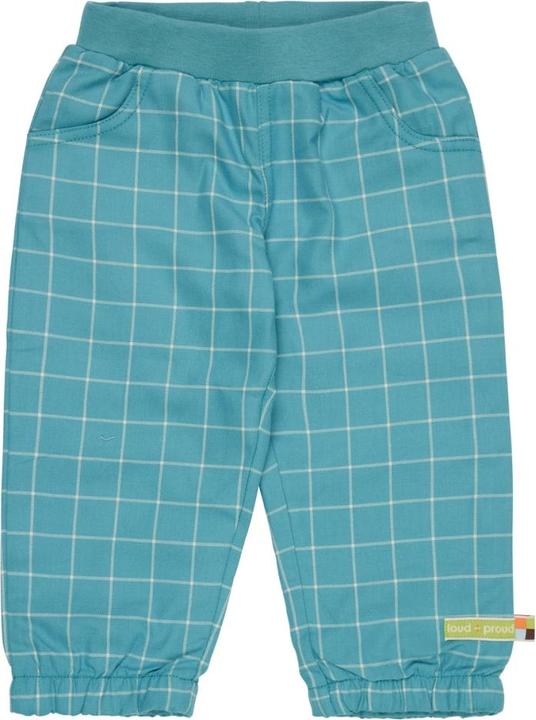 Actual product image loud + proud Check trousers (80)
