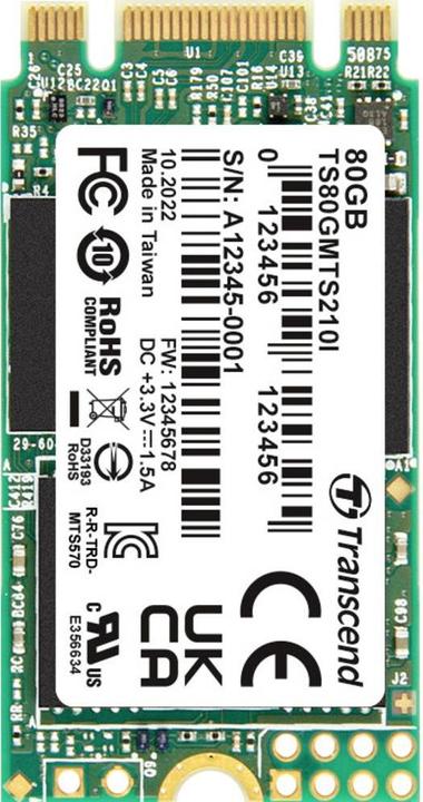 Transcend Interne M.2 SSD TS80GMTS210I (80 GB, M.2 2242)