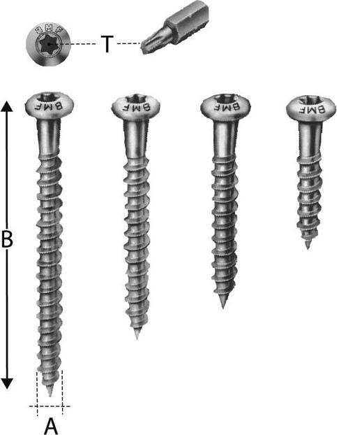 Actual product image Simpson Sst Screws (250 Screws per piece)