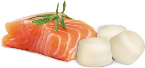Actual product image beaphar Sheep fat with salmon (245 g)