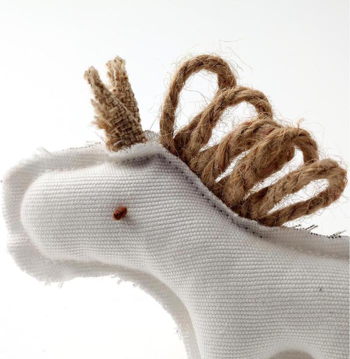 Immagine prodotto Anijoy Furia dei giocattoli per gatti (Gatto di peluche)