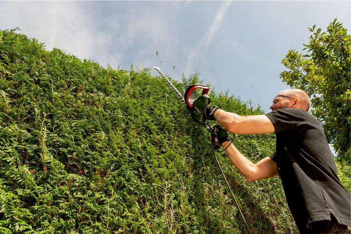 Image du produit Metabo Hs 8765 (Taille-haie électrique)