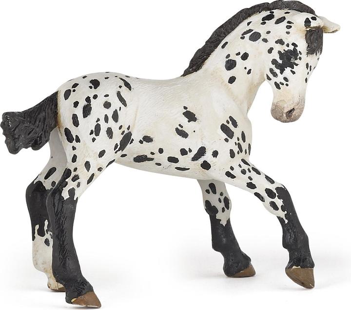 Papo puledro Appaloosa nero