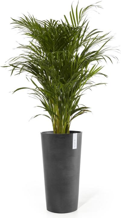 Actual product image Ecopots Amsterdam High (41 cm)