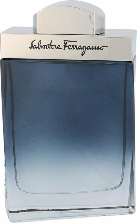 Image du produit Salvatore Ferragamo Subtil (Eau de toilette, 100 ml)