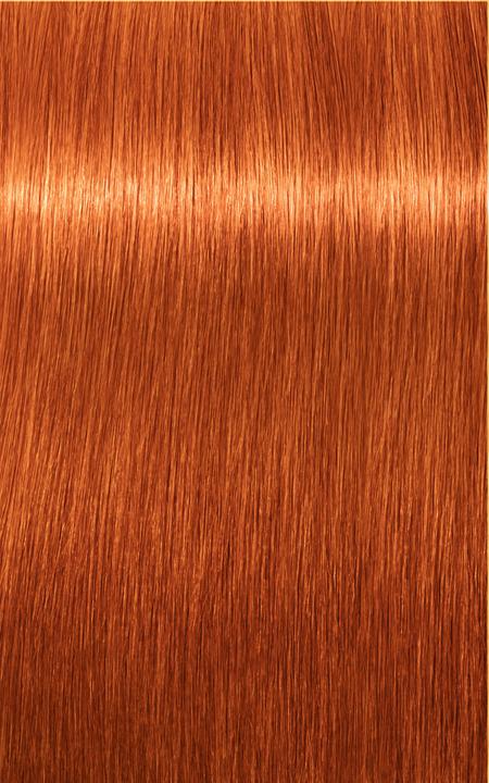 Produktbild Schwarzkopf Professional Igora Expert (100 ml)