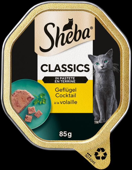 Produktbild Sheba Classics in Pastete Geflügel Cocktail Schale (Adult, 1 Stk., 85 g)