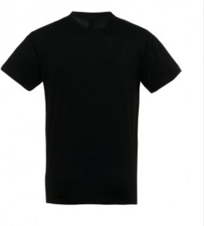 Actual product image Sols Mens Regent Short Sleeve T-Shirt (5XL)