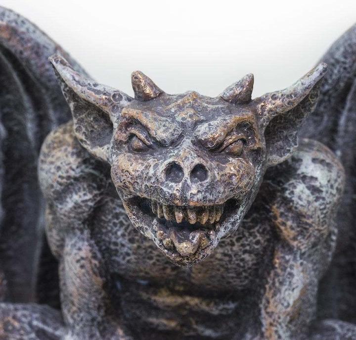 Produktbild Safari Gargoyle
