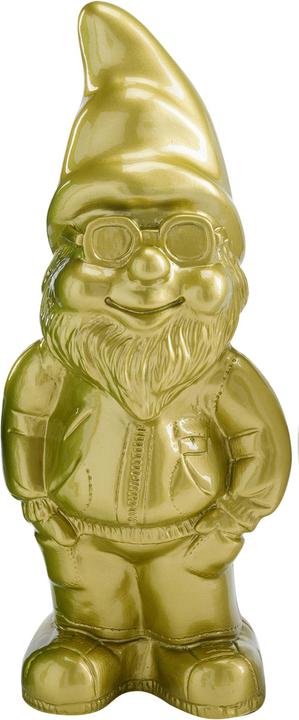 Actual product image Ikarus Cool Gnomy Garden Gnome