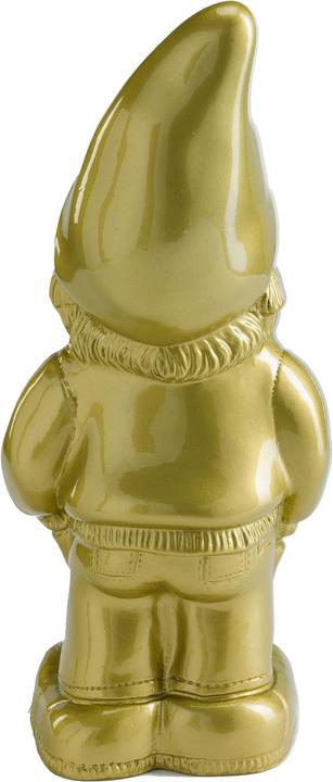 Actual product image Ikarus Cool Gnomy Garden Gnome