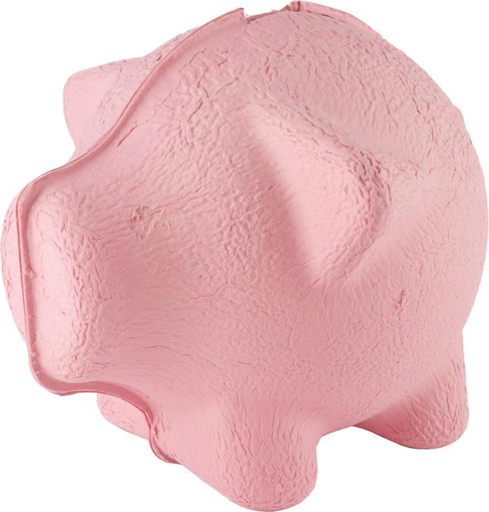 Actual product image Puik-art Tammy piggy bank (20 x 16 x 19 cm)