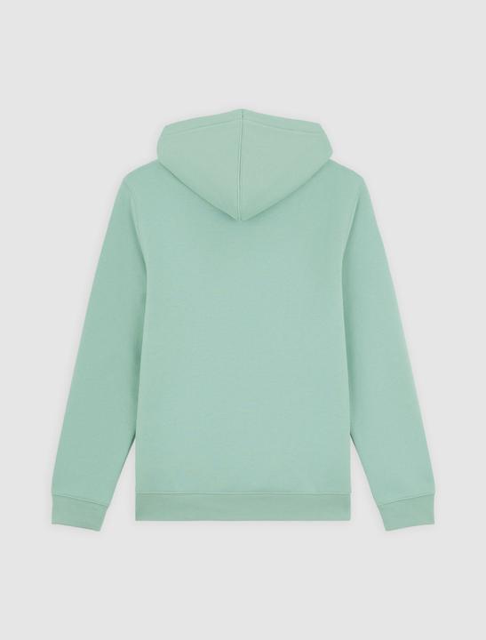 Actual product image Dickies Oakport Hoodie Iceberg Green (S)
