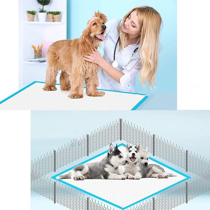 Immagine prodotto Esmée Tappetino igienico per cuccioli Set di 40 tappetini per animali (Cane)