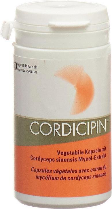 Immagine prodotto Gamu Capsula di estratto di funghi vitale (60 Pezzo/i, Pillole, 40 g)