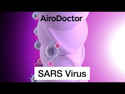 Image du produit AiroDoctor Purificateur d'air WAD-M20 (200 m²)
