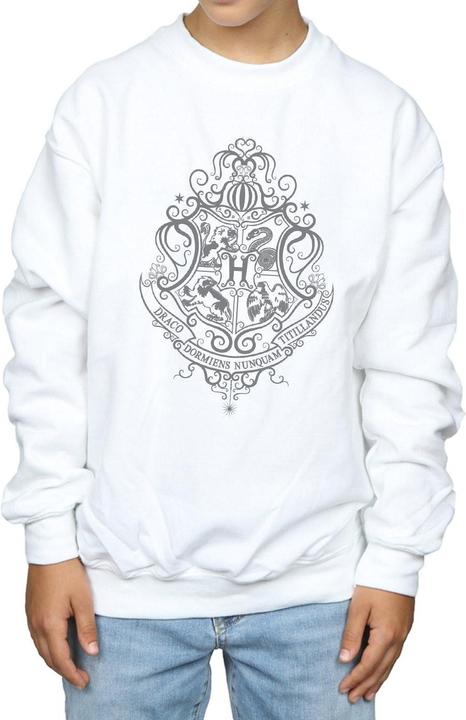 Image du produit - Sweat HOGWARTS DRACO DORMIENS CREST - Garçon (128)