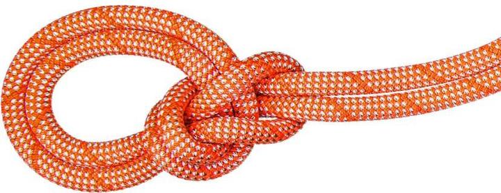 Produktbild Mammut 9.8 Crag Classic Rope (40 m)
